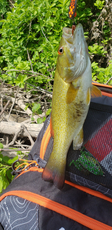 20230524-153901.jpg