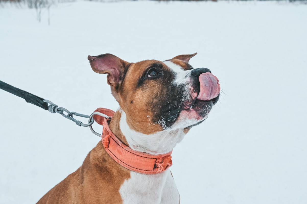 A6D597F4-27BB-4C81-B3F1-D6A920B61076