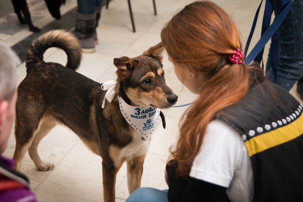 205B0A42-E931-47B3-A50C-83296DF6AD75