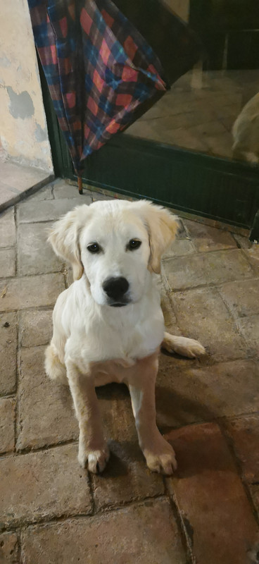 9172D705-7D1A-441B-BD64-FBB6B10BD611