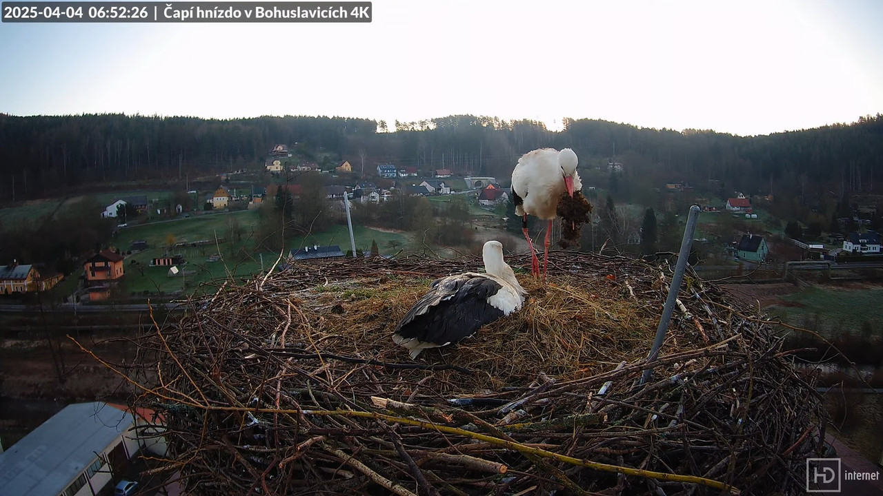 Živě z čapího komína firmy KARA v Bohuslavicích u Trutnova 9-58-28 screenshot