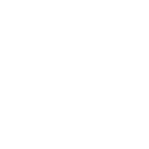 Logo LINA