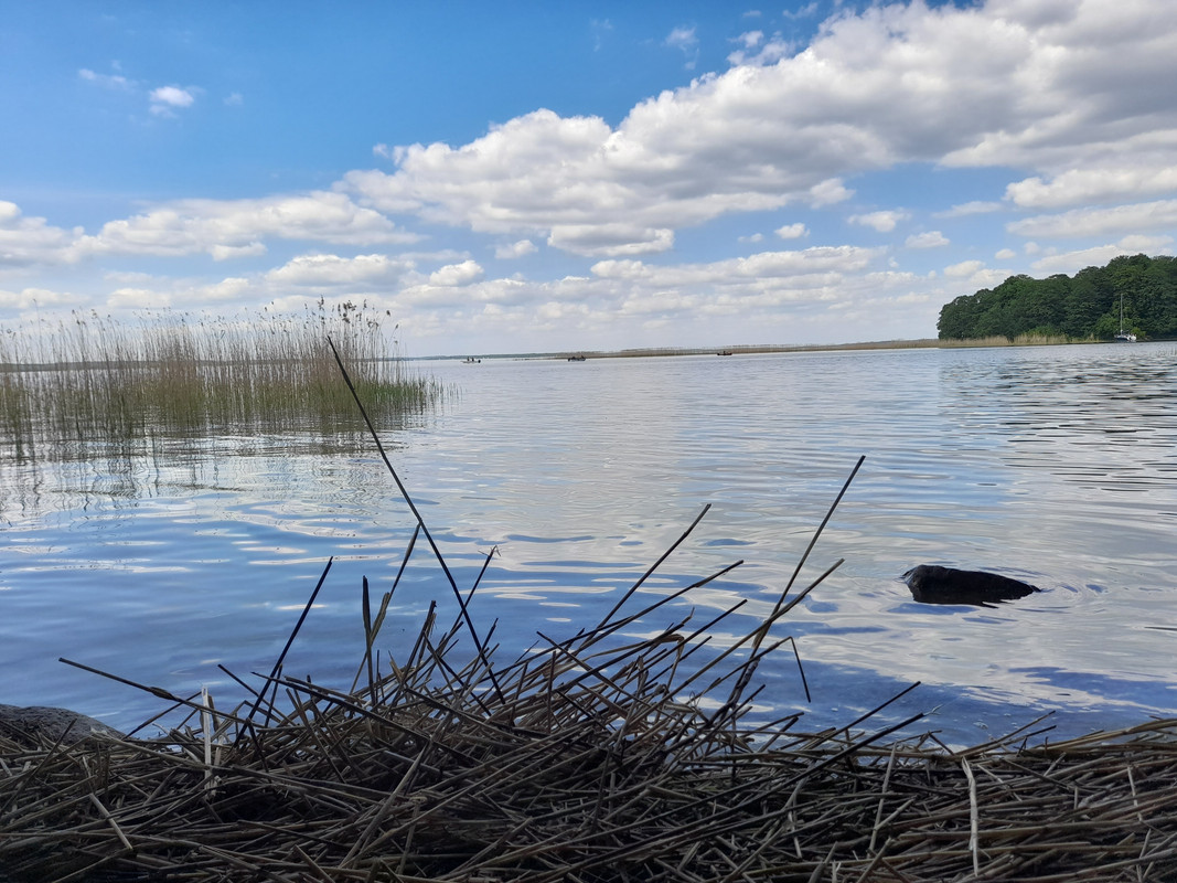 08.14 - 20210603_124759 (Aldona)