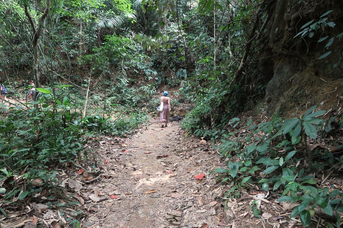 IMG-5879.jpg