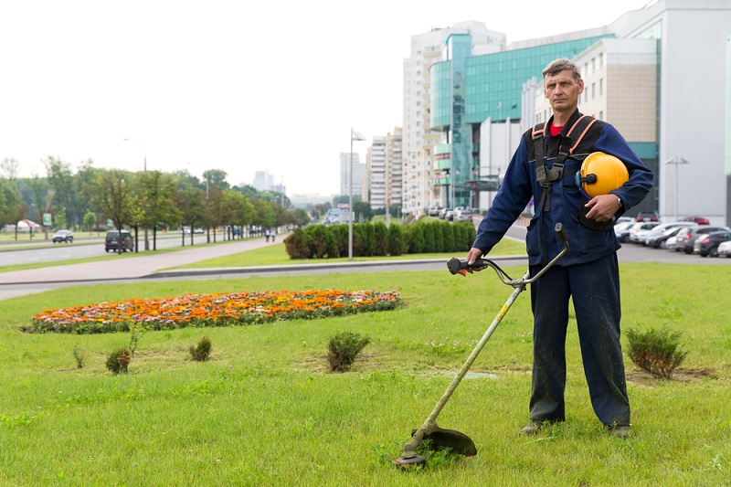 landscaping avalon landscaping avalon