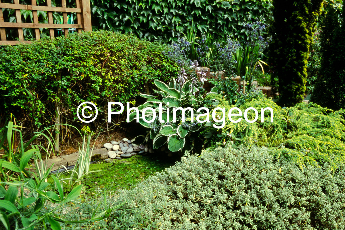 2019-04-22_10269 G7 LED Velvia (C  Script )