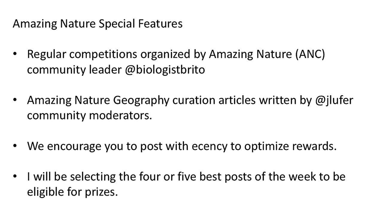 parte-final-naturaleza.jpg