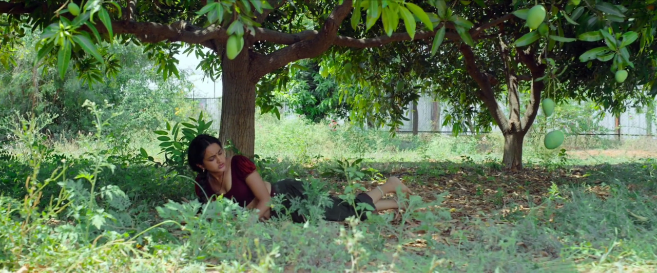 vlcsnap-2024-01-13-14h43m51s172