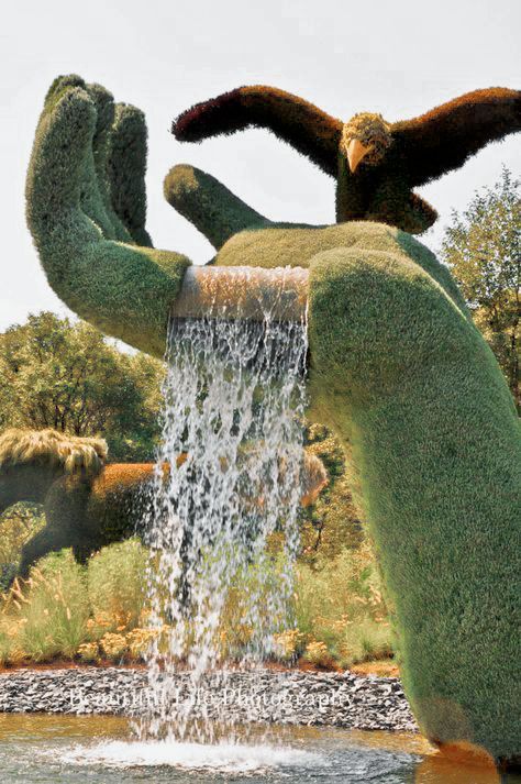 green-grass-hand-bird.jpg