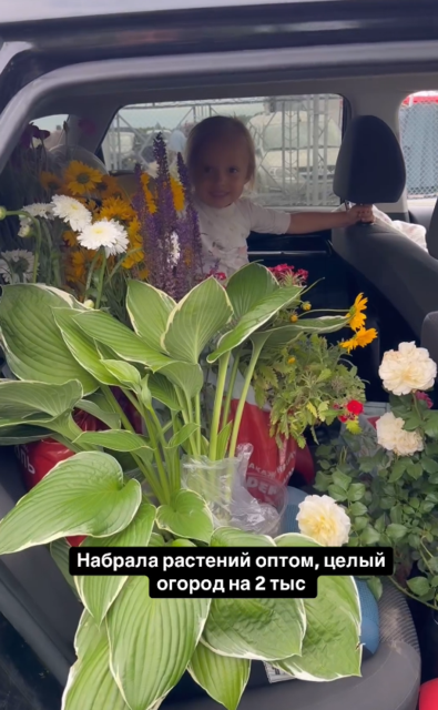 https://i.postimg.cc/ZKnJ494P/Screenshot-2024-06-29-at-08-08-42-media-php.png