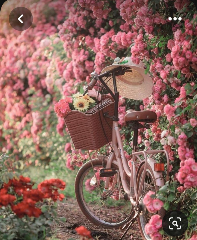 Screenshot_20230601_012621_Pinterest