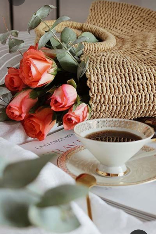 Screenshot_20230622_004946_Pinterest