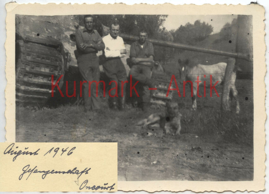 Foto Wehrmacht Panzer Tiger II Königstiger 1946 Frankreich Oncourt Epinal