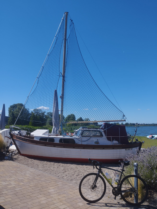 IMG_20250817_134239.jpg