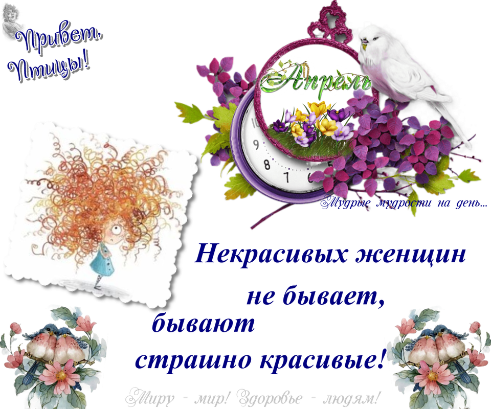 https://i.postimg.cc/ZKndVsPS/04-04.png