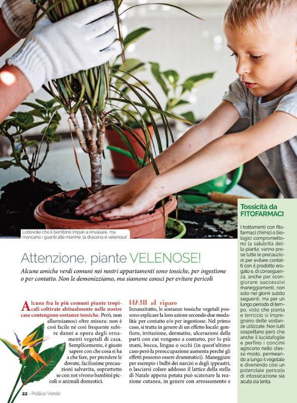 Pol Ver Ott 2022 (3)