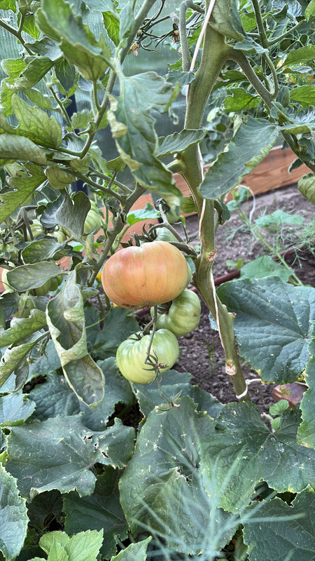 D3B98343-1888-4EFC-8B48-57756D4E4035