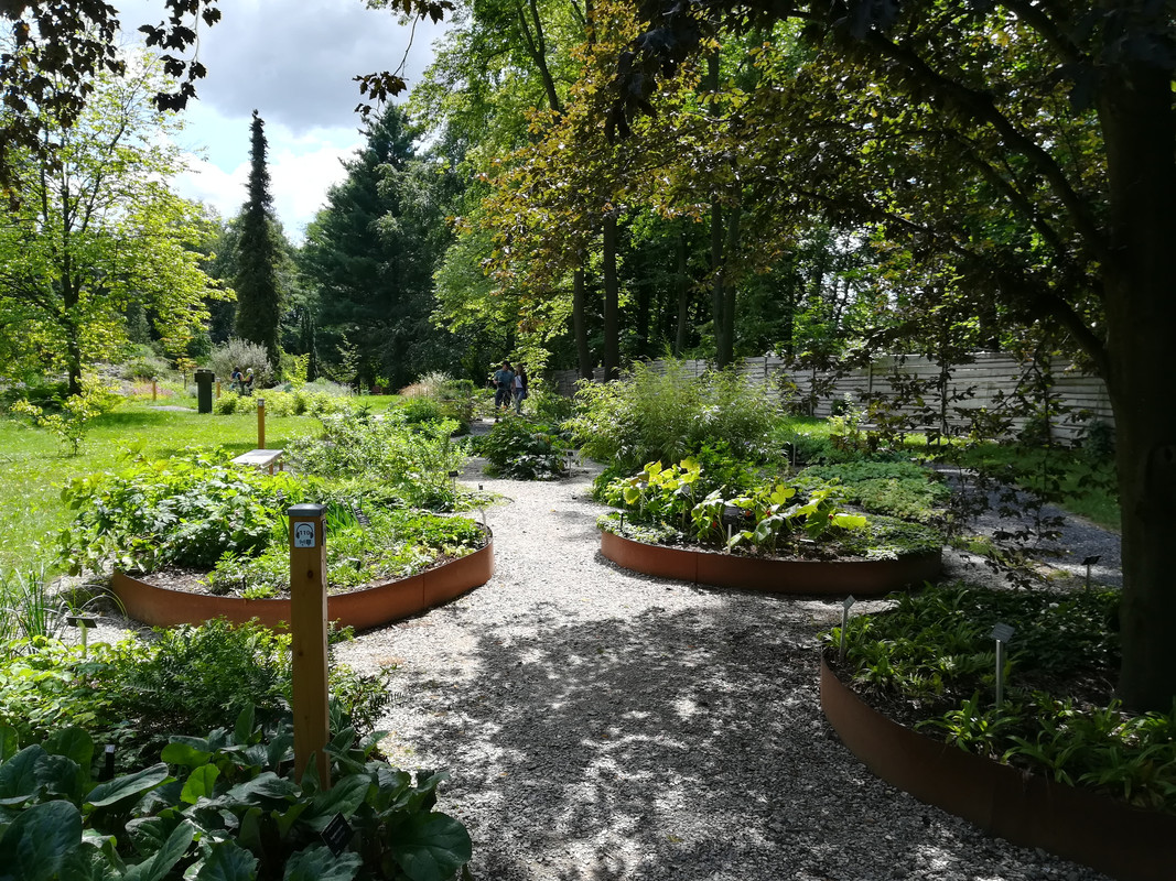 001 - IMG_20190714_130424