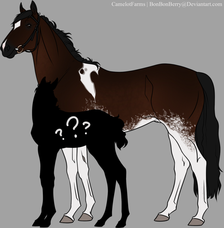 EBBE8BC2-2051-4AC7-838C-A2D3532C5F73.png