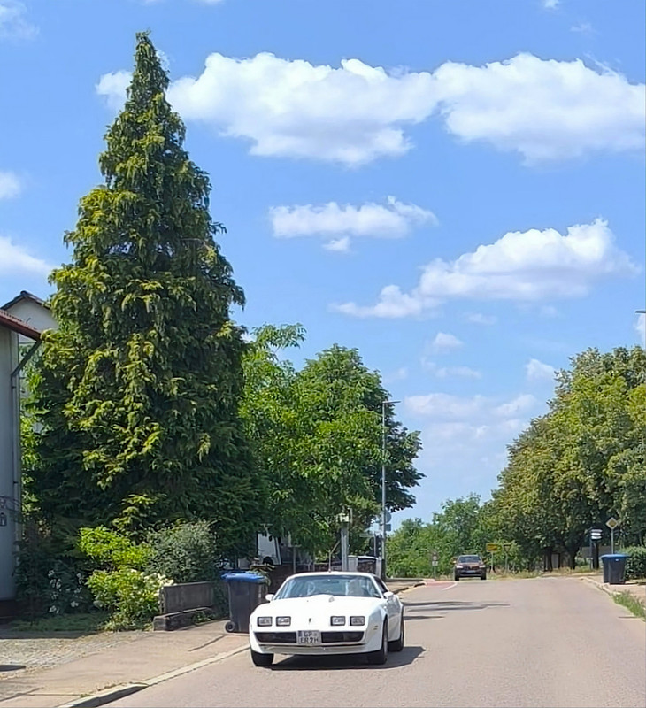 usa711gp (3)