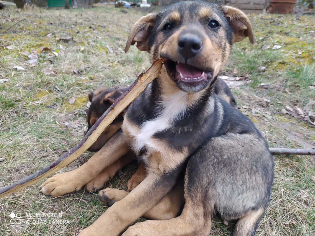 изображение_viber_2020-03-09_18-22-09