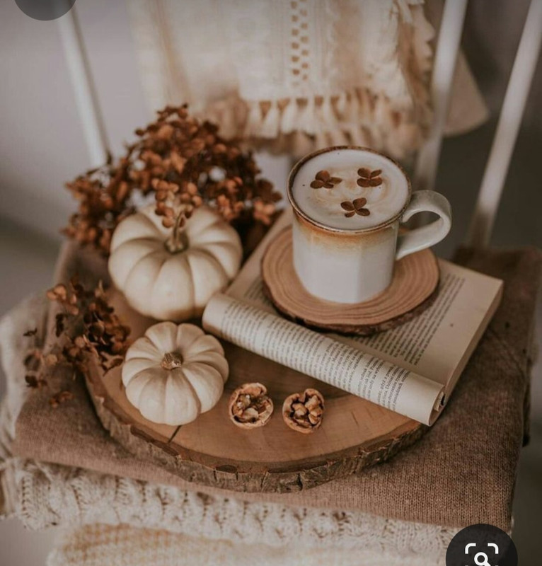 Screenshot_20230909_010153_Pinterest