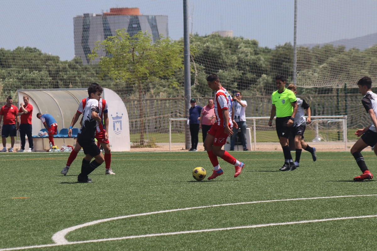 IMG-7619