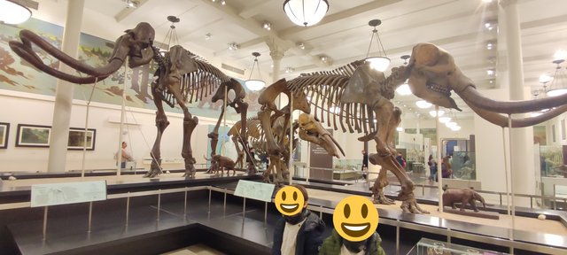 Vista icónica en Dumbo, bicis Central Park, Museo Historia y Little Italy - Nueva York y Cataratas del Niágara 2023 (35)