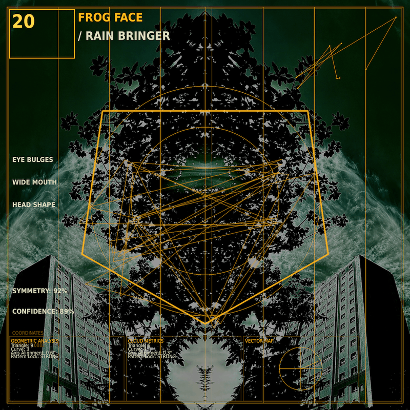 Frog face