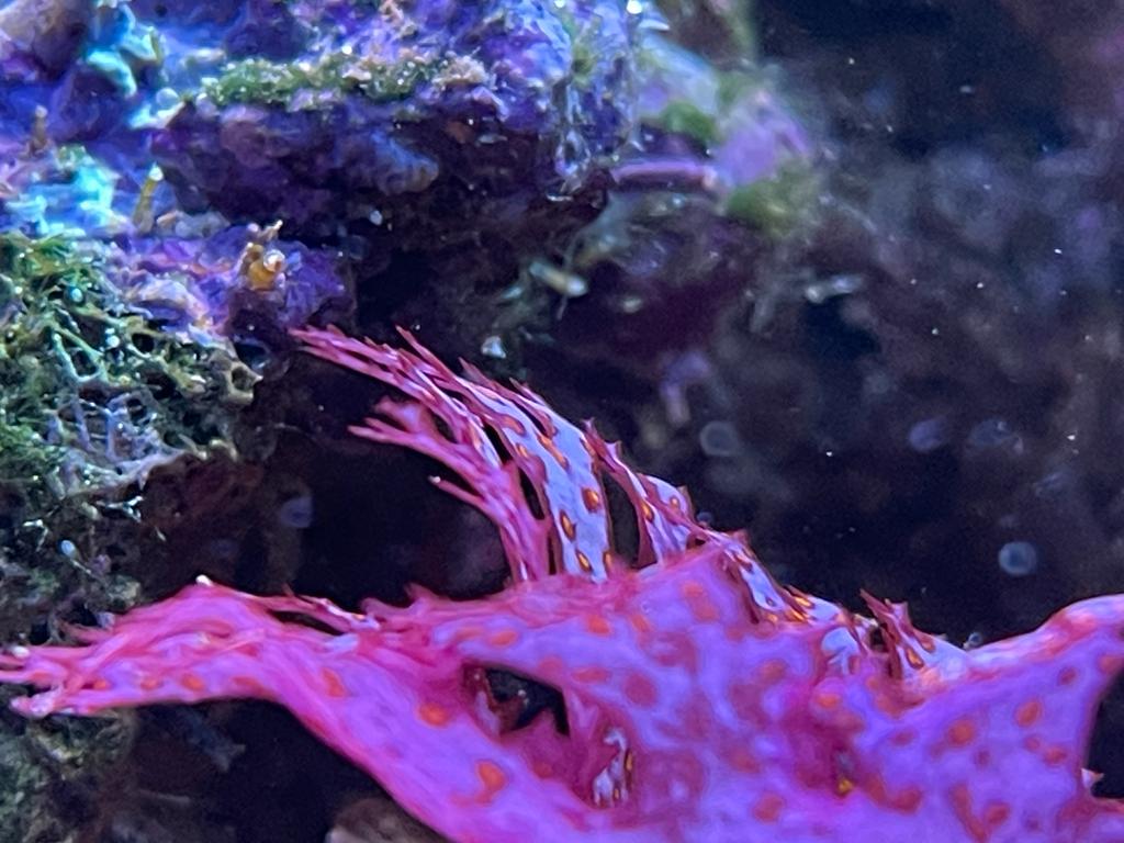 05EB5F45-986E-4BCD-BE37-B080D11EAC87