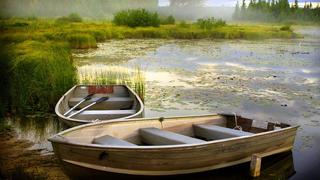  Thơ hoạ Nguyễn Thành Sáng & Tam Muội (1097) Lake-boats-reed-in-misty-morning-background-HD-quality-desktop-w