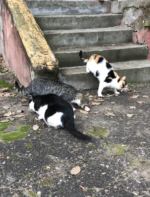 A873D527-AD6F-4A82-A869-746E6B9F9025