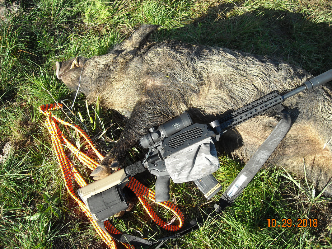 DSCN0926.jpg