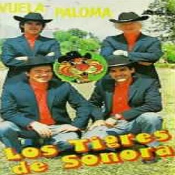 Los Tigres de Sonora