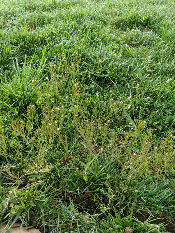 MVIMG_20200326_073756