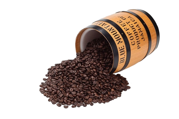 Jamaican coffee beans illustration
