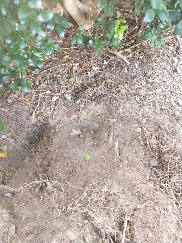 IMG_20200815_144444190