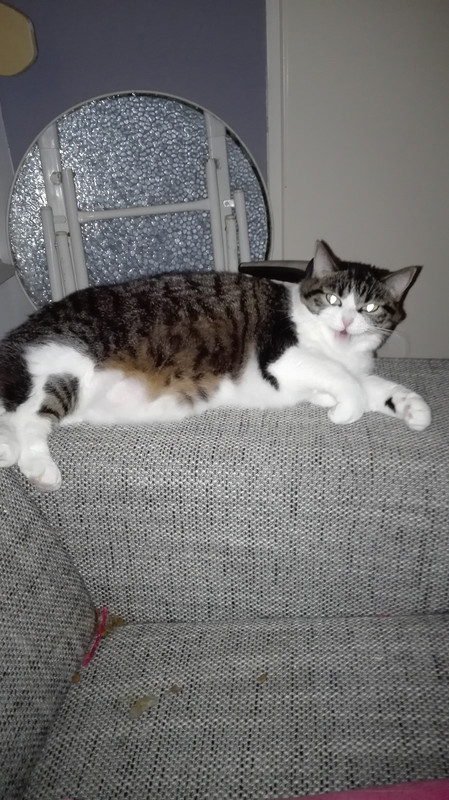 1474057369141-1494097375