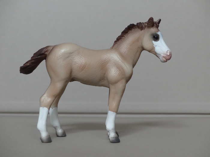 Pictures for Toy Animal Wiki - Page 14 Quarter-Horse-Foal-Red-Dun
