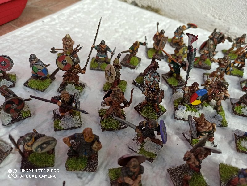 VENDS FIGURINES VIKING 28MM IMG-20200214-145304