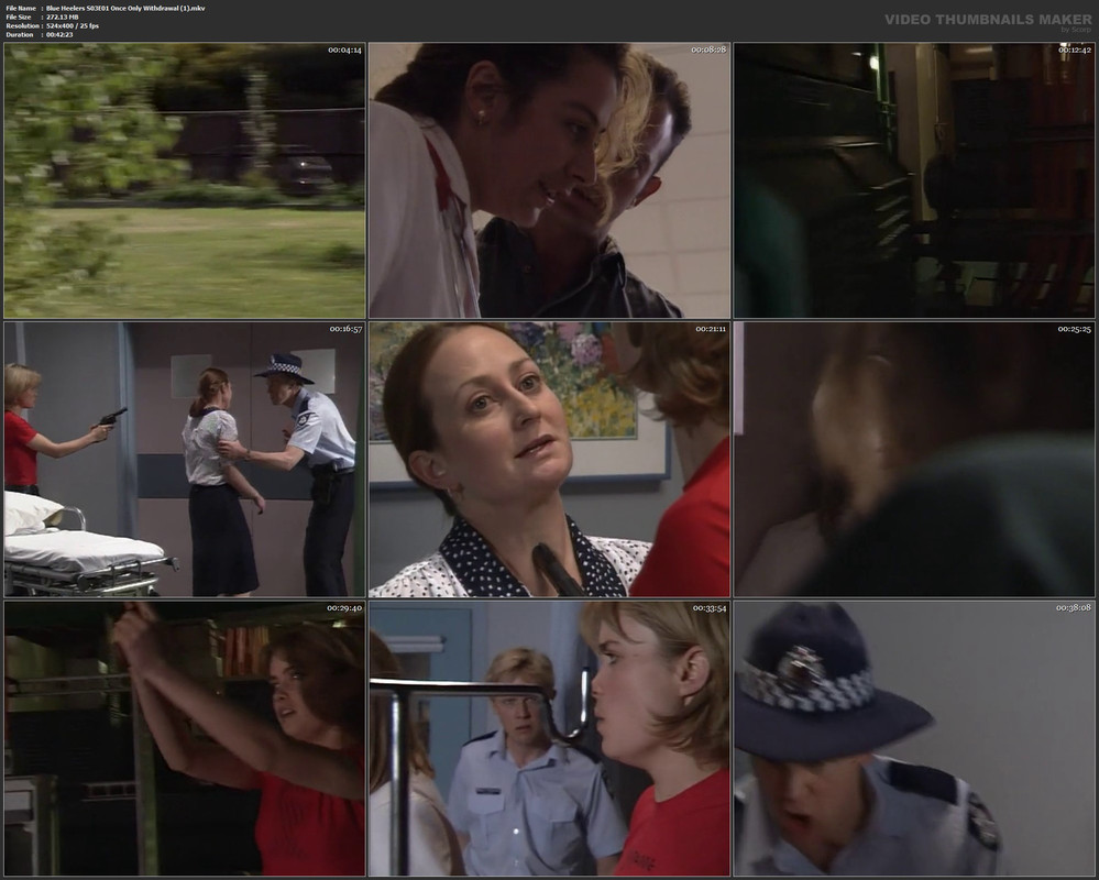 Blue Heelers S03E01 Once Only Withdrawal (1).mkv