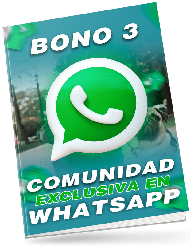 Bono 3