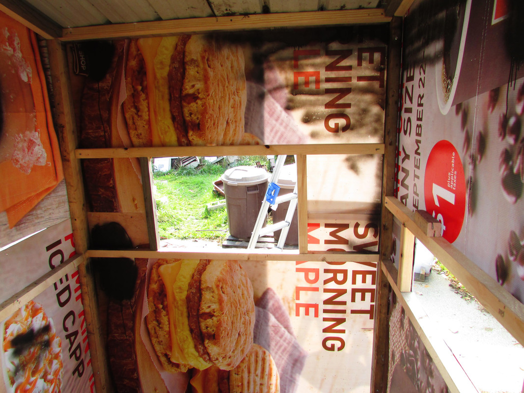 looking in the door, front window view