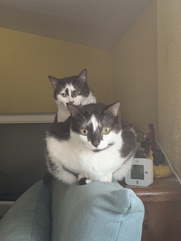 80D0F37B-230D-4B70-B7C4-71AA859BADDF