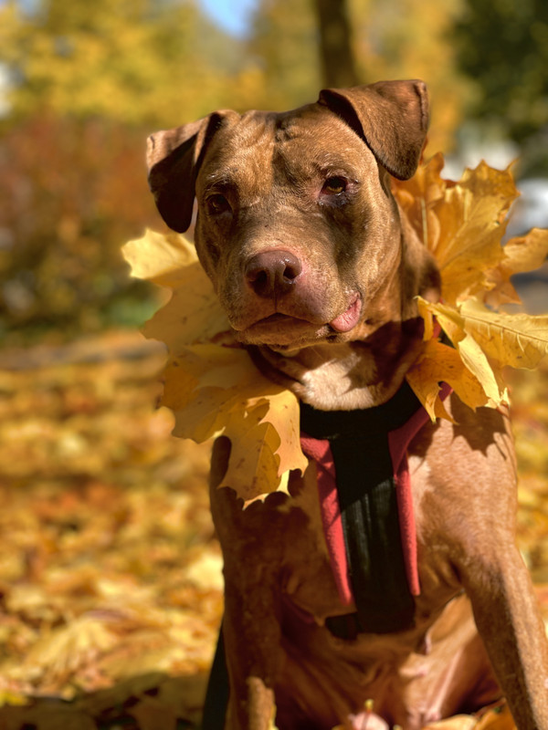 8C55D88E-61C2-4C96-8ACA-6B56DB163E68