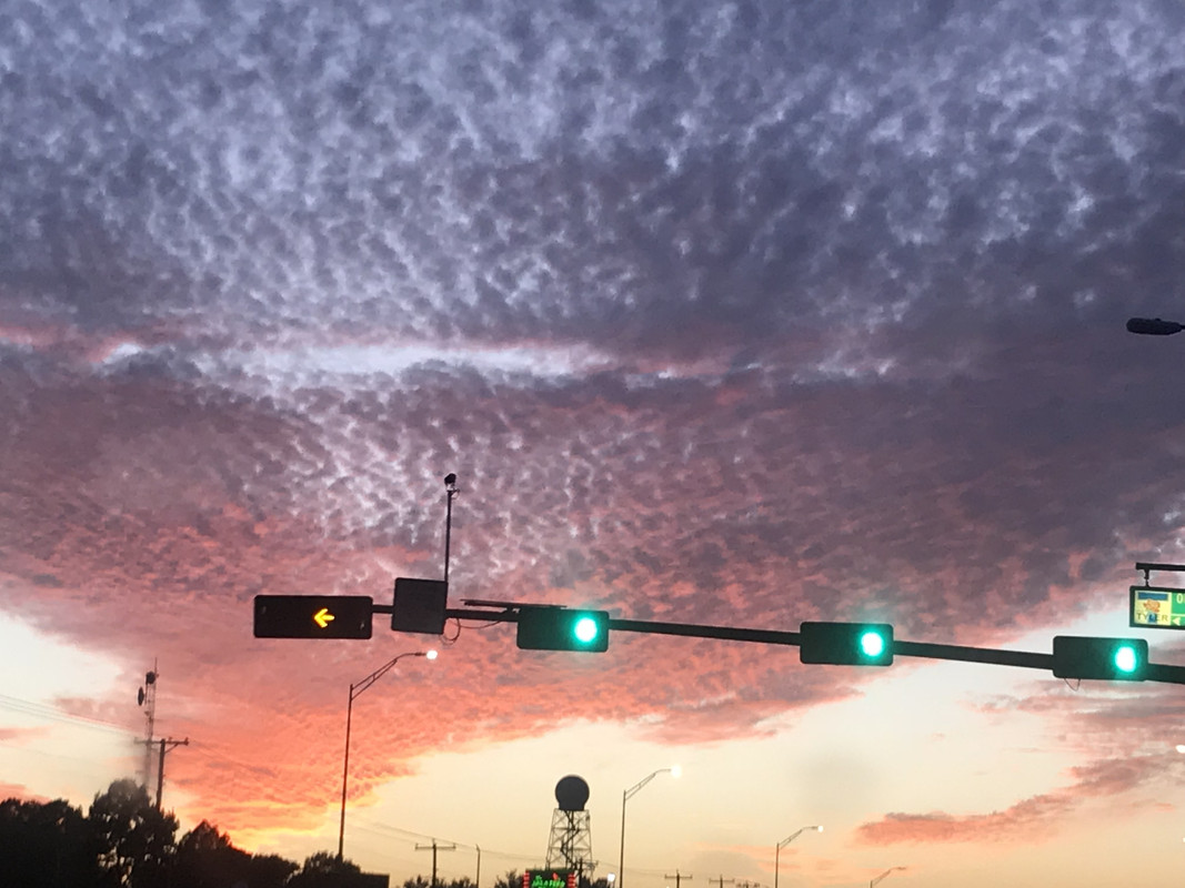 [Image: 71-E29-D77-619-C-4332-B662-8-EB16-A419-F16.jpg]