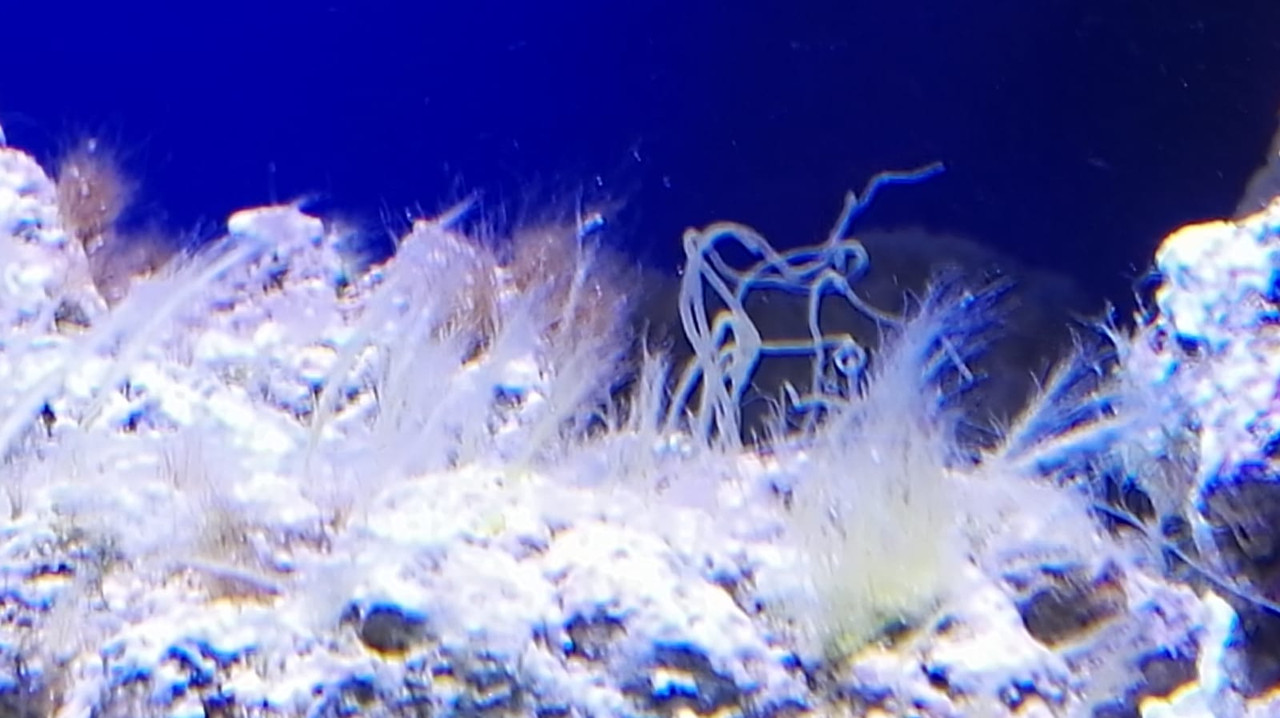 WhatsApp Image 2019-08-04 at 15.52.32 (3)