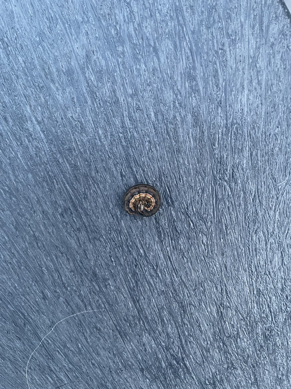 F1138B09-0656-45AF-8A8F-2A6752C0E5E3