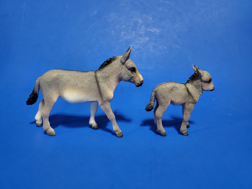 mojo - Mojo Fun 2020 Donkey Jenny and Foal walkaround 20200701-134002