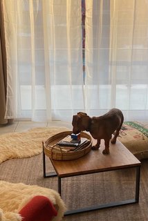 [Image: 1-D3-C1-E65-C504-4-EE8-AF32-3-D8752-BFFA64.jpg]